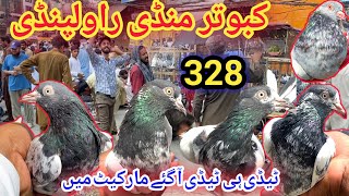 329  Kabutar Mandi Rawalpindi  TeddyGoldenfarozpuri  Latest Update Pigeon Market Price 892024 [upl. by Einoj]