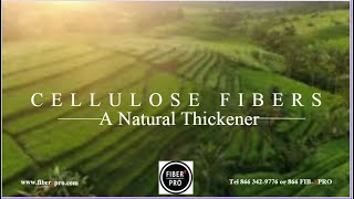 Fusion a Natural Cellulose Thickener [upl. by Murtha121]