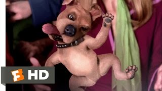 Scooby Doo The Movie 2002 TV Spot Trailer [upl. by Diva156]