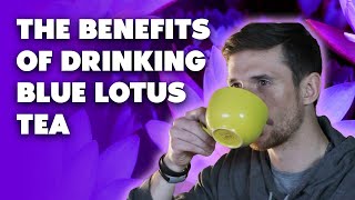 Benefits of Drinking Blue Lotus Tea  Buy Blue Lotus Flowers Nymphaea caerulea [upl. by Adranoel]