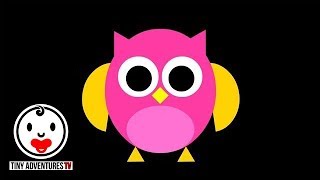 Baby Sensory  Shape World  Owl  High Contrast Animation [upl. by Atirabrab37]