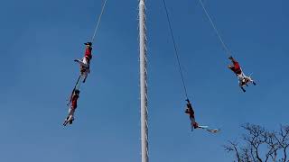 VOLADORES DE PAPANTLA ESPECTACULAR [upl. by Weisman977]