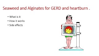 GERD treatment Seaweed and Alginates for GERD and heartburn Possible side effects Gaviscon [upl. by Cohlier]