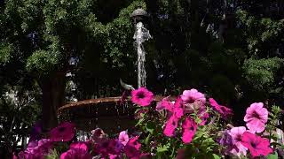 SpringTime Fountain [upl. by Xer]