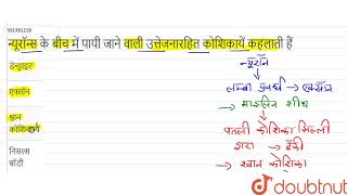 न्यूरॉन्स के बीच में पायी जाने वाली उत्तेजनारहित कोशिकायें कहलाती हैं  12  जन्तु ऊतक  BIOLOG [upl. by Wemolohtrab]