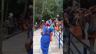 Sabarigiri yathra  sabarimalayathra sabarimala mandalakalam [upl. by Bear]