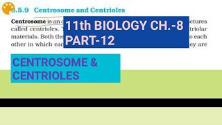 Class 11 biology Ch8Part12Centrosome amp centriolesStudy with Farru [upl. by Boyce]