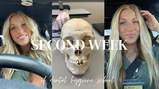 Dental Hygiene School  Week Two [upl. by Rintoul]