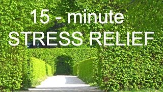 Hypnosis for stress and anxiety relief short version with theta waves [upl. by Ronal642]