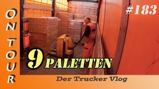 9 Paletten  Vlog 183 [upl. by Iuqcaj]