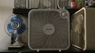 2019 Pelonis FB5016H Box Fan [upl. by Ahseyn]