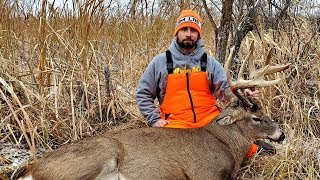 Big 12 pt Swamp Buck Down Deer Hunting Minnesota Rifle Season [upl. by Chin329]