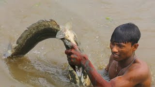 unique fishing videos  catfish and snake head fish catching by hand [upl. by Nwahsar]