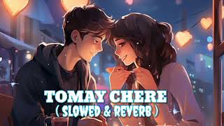 Tomay Chere Jabo Bolo Kothay Lofi Song  Slowed amp Reverb [upl. by Olim]