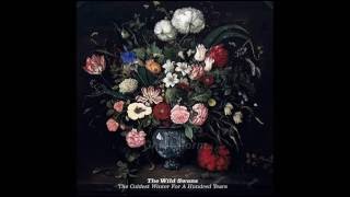 The Wild Swans  The Coldest Winter For A Hundred Years Full Album [upl. by Anifad]