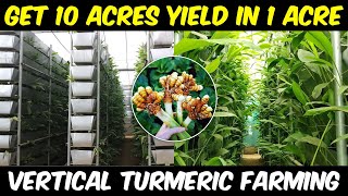 Vertical TURMERIC FARMING  Get 10 Acres yield in 1 Acre Land  Soil based Vertical Farming [upl. by Gylys94]