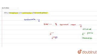 Why ctenophores are commonly called combjellies [upl. by Staal142]