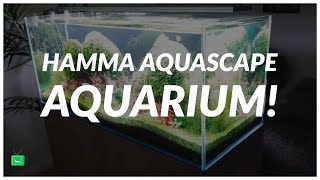 WOW  AQUASCAPE AQUARIUM  WUNDERSCHÖN Aquarien Bewerten  GarnelenTv [upl. by Polak178]