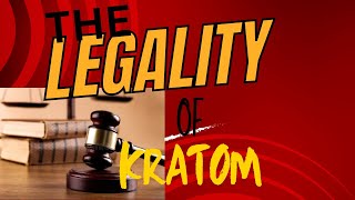 Kratom Kingdom videos explore the good and bad of kratom as well as a vlog [upl. by Etnoid125]