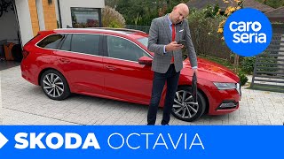 Skoda Octavia czyli czeski błąd lepszy od niemieckiej perfekcji TEST PL  CaroSeria [upl. by Yaker]