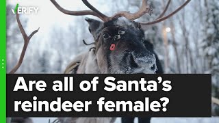 Are all of Santa’s reindeer female [upl. by Peers]