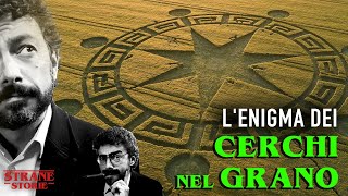 Il mistero dei cerchi nel grano [upl. by Esyned]