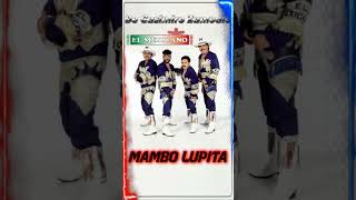 Mambo Lupita  Mi Banda El Mexicano banda shorts [upl. by Berny565]