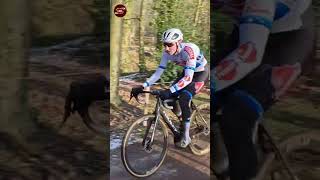 Michael Vanthourenhout Exact Cross Zonnebeke 2024 cyclocross [upl. by Capps688]