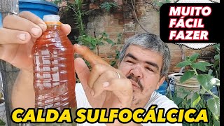 Como fazer a calda sulfocálcica em casa [upl. by Anette968]