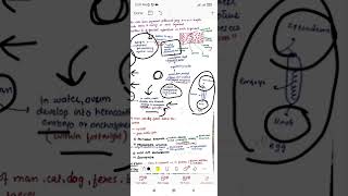 Diphyllobothrium latum  cestodes  parasitology  microbiology  Dr Zubia [upl. by Efthim]