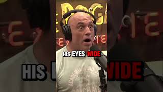 Joe Rogan HATES New Connor McGregor jreclips ufc [upl. by Ahsiryt]