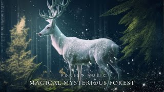 Magical Mysterious Forest  Calming The Mind Soaring Soothing with Flute Magical Sound [upl. by Dela579]