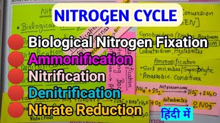 नाइट्रोजन साइकिल सारा कन्फ्यूजन खत्म  nitrogencycle [upl. by Enimsay237]