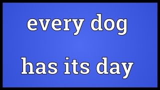 Every dog has its day Meaning [upl. by Flagler]