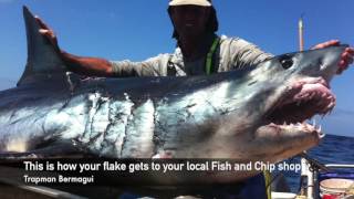 Trapman Bermagui Say NO to imported fish [upl. by Natalee]