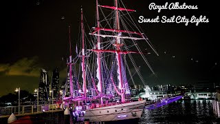 Royal Albatross Sunset Sail City Lights Dinner Cruise [upl. by Onida]