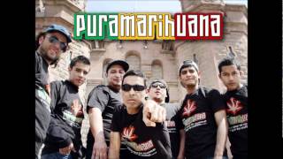 Un pacto para Vivir  Pura Marihuana difusion 2012 Cumbia de Locos [upl. by Anafetse]