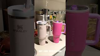 Stanley Quencher vs HydroJug 😱🌋 Water Bottle with Handle amp Flip Straw [upl. by Nnylirehs282]