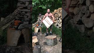 splitting big logs 🪓🪵 shorts [upl. by Aserret]