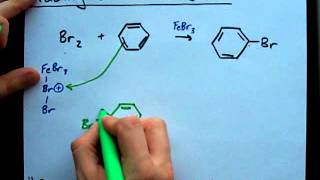 Adding Br to Benzene Electrophilic Substitution [upl. by Cori]