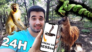 TRADUC și FAC TOT ce spun ANIMALELE de la ZOO pentru 24 ORE Pericol Part 3 [upl. by Arihsaj684]