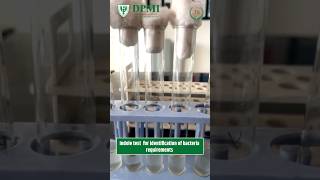 Indole Test for Identification of Bacteria Paramedical Courses DPMI [upl. by Blasius]