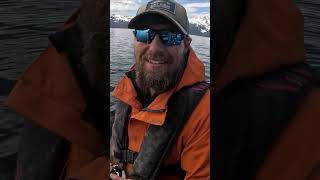 Lunker Pacific Cod Way Down Deep alaska fishing juneau shorts [upl. by Onihc]