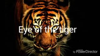 Eye of the tiger by Survivor with lyrics [upl. by Dylana94]