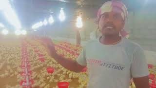 EC poultry farm visitEnvironmental conditional poultry farm ECPoultry farming EC farming [upl. by Kurland]