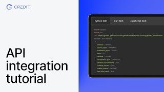 API integration Credit Scoring [upl. by Cagle533]