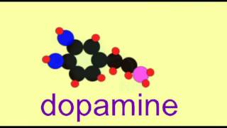 AP1 BRAIN DOPAMINE SYNTHESIS [upl. by Ursa]