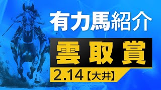 【雲取賞】有力馬紹介～2024ダート三冠～ [upl. by Benenson]