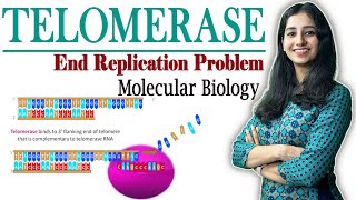 Telomerase Replication II End Replication Problem I Molecular Biology II [upl. by Malissa]