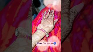 ➡️🧿 blessed minivlog bollywood love couple vlog wedding bridal music newsong [upl. by Amethist]